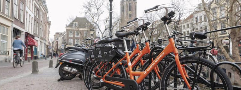 Utrecht_Donkey_l-(1).jpg